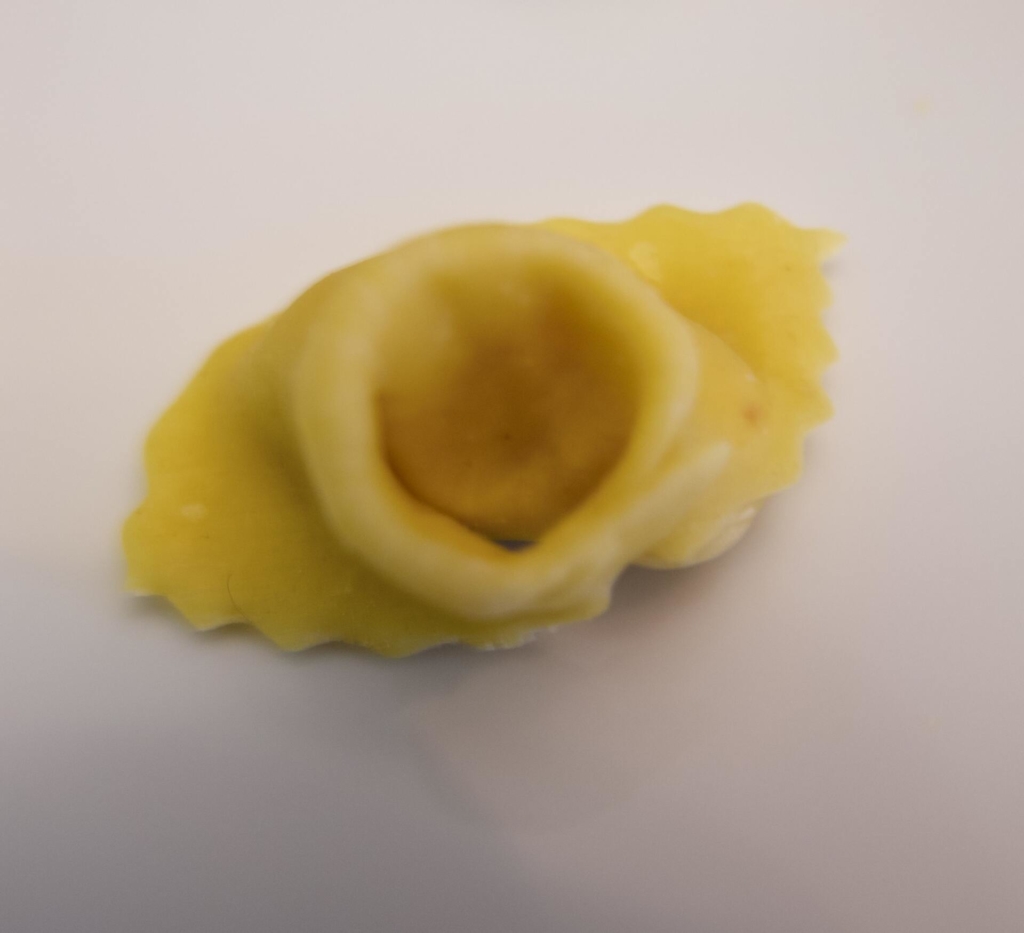 agnolo mantovano agnolo mantovano