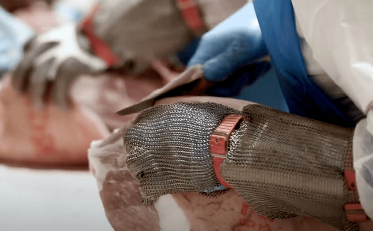 Produzione prosciutti cotti – Disosso Produzione prosciutto cotto: il disosso