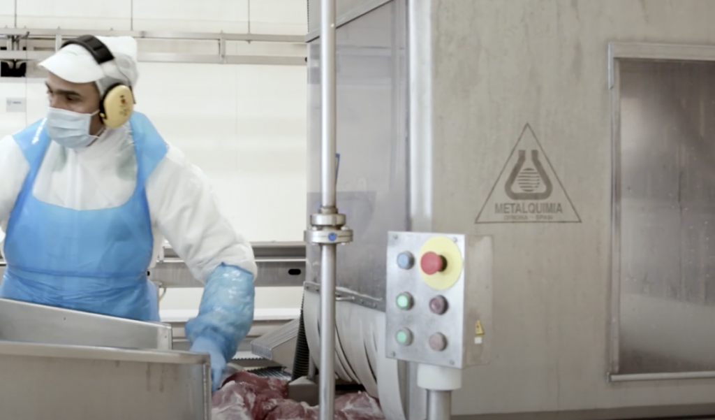 produzione prosciutti cotti: siringatura Produzione prosciutto cotto: siringatura
